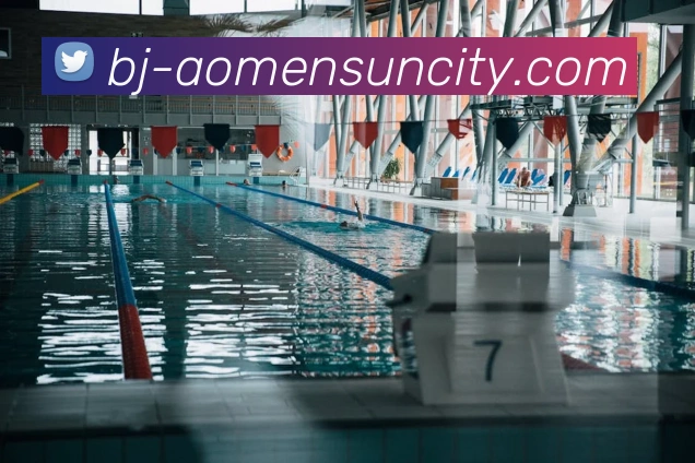 太阳城网站服务体系